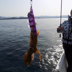 フィッシングボート空風(そらかぜ) 釣果
