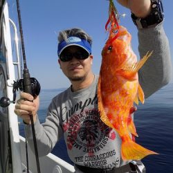 フィッシングボート空風(そらかぜ) 釣果