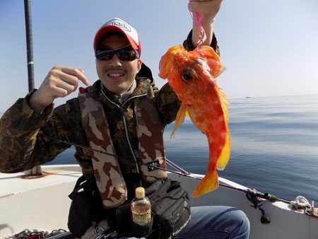 フィッシングボート空風(そらかぜ) 釣果