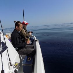 フィッシングボート空風(そらかぜ) 釣果