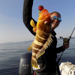 フィッシングボート空風(そらかぜ) 釣果