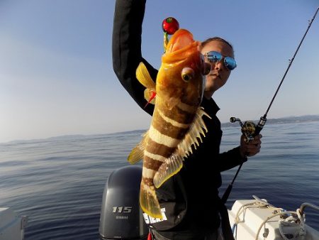 フィッシングボート空風(そらかぜ) 釣果