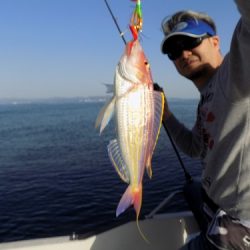 フィッシングボート空風(そらかぜ) 釣果