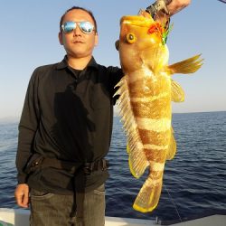 フィッシングボート空風(そらかぜ) 釣果