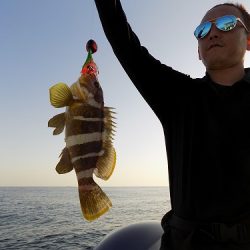 フィッシングボート空風(そらかぜ) 釣果