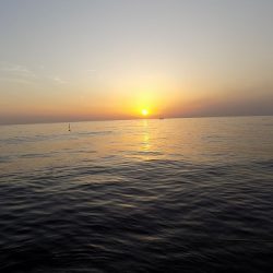 フィッシングボート空風(そらかぜ) 釣果