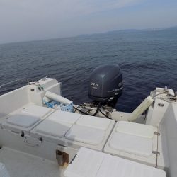 フィッシングボート空風(そらかぜ) 釣果