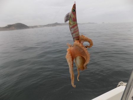 フィッシングボート空風(そらかぜ) 釣果