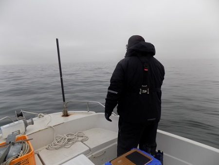 フィッシングボート空風（そらかぜ） 釣果