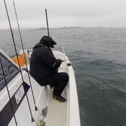 フィッシングボート空風(そらかぜ) 釣果