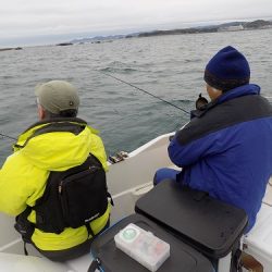 フィッシングボート空風(そらかぜ) 釣果