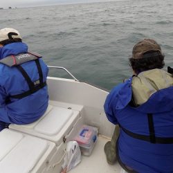 フィッシングボート空風(そらかぜ) 釣果