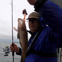 フィッシングボート空風(そらかぜ) 釣果