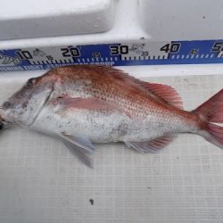 フィッシングボート空風(そらかぜ) 釣果