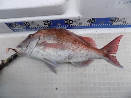 フィッシングボート空風(そらかぜ) 釣果