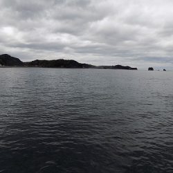 フィッシングボート空風(そらかぜ) 釣果