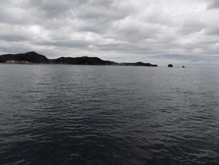 フィッシングボート空風（そらかぜ） 釣果