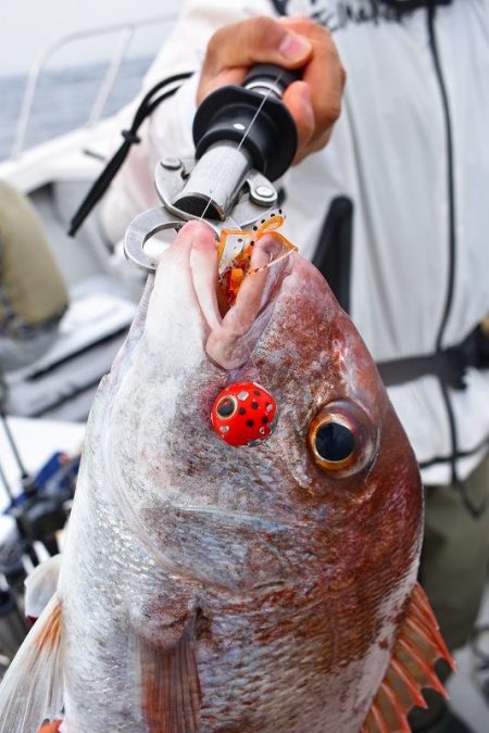 Fisherman Dreams DI 釣…