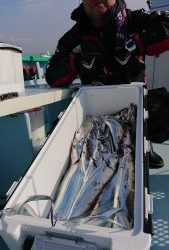 KONAYAーMARU(こなや丸) 釣果