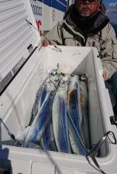 KONAYAーMARU(こなや丸) 釣果