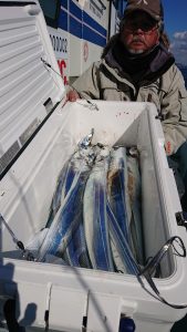 KONAYAーMARU(こなや丸) 釣果