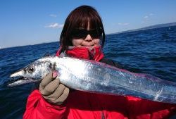 KONAYAーMARU(こなや丸) 釣果