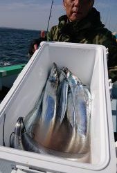 KONAYAーMARU(こなや丸) 釣果