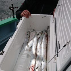 KONAYAーMARU(こなや丸) 釣果