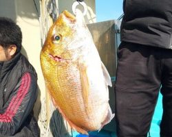 フィッシング太陽 釣果