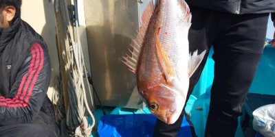 フィッシング太陽 釣果