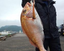 フィッシング太陽 釣果