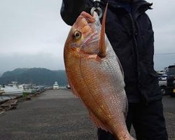 フィッシング太陽 釣果