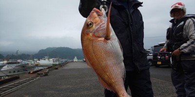 フィッシング太陽 釣果