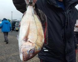 フィッシング太陽 釣果