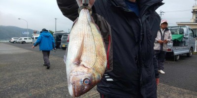 フィッシング太陽 釣果