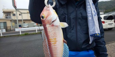 フィッシング太陽 釣果