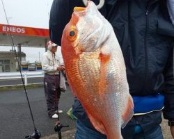 フィッシング太陽 釣果