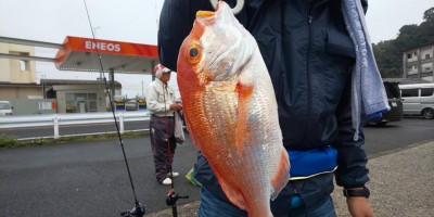 フィッシング太陽 釣果