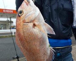 フィッシング太陽 釣果