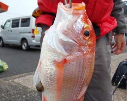 フィッシング太陽 釣果