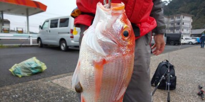 フィッシング太陽 釣果