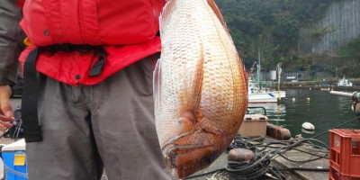 フィッシング太陽 釣果