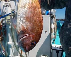 フィッシング太陽 釣果