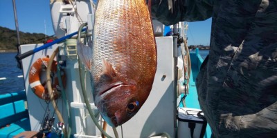 フィッシング太陽 釣果