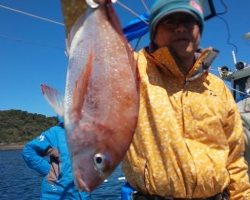 フィッシング太陽 釣果