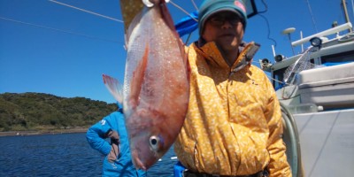 フィッシング太陽 釣果