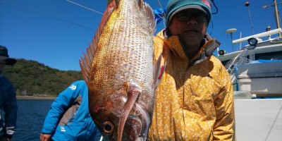 フィッシング太陽 釣果