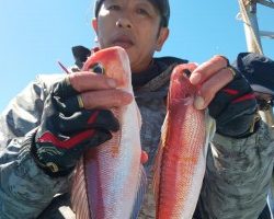 フィッシング太陽 釣果