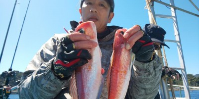 フィッシング太陽 釣果