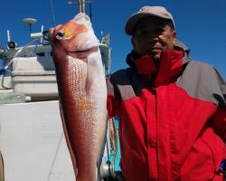 フィッシング太陽 釣果